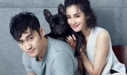 张歆艺互相爆料视频播放,视频播放引发网友热议